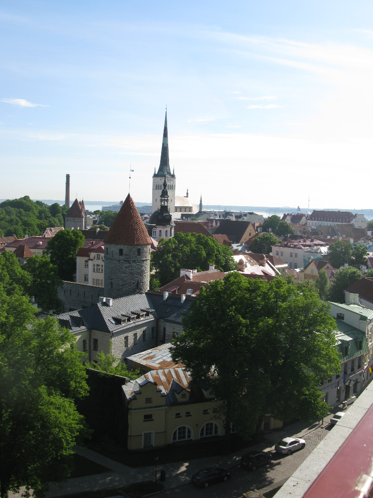 IMG_2440.JPG