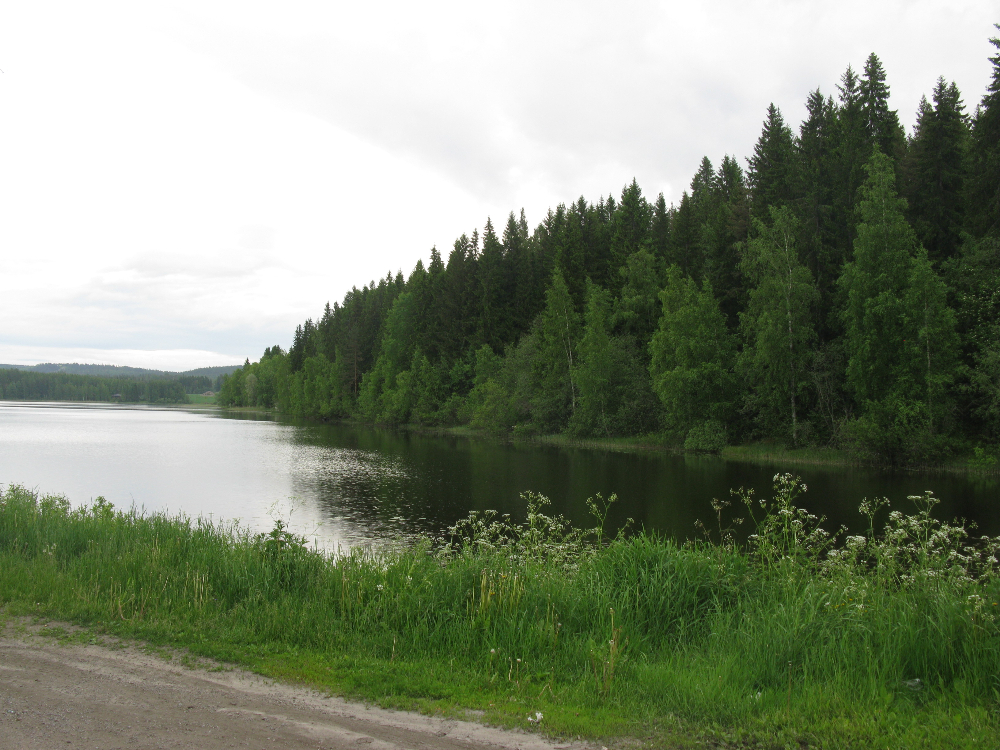 IMG_2455.JPG