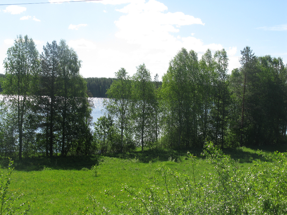 IMG_2496.JPG