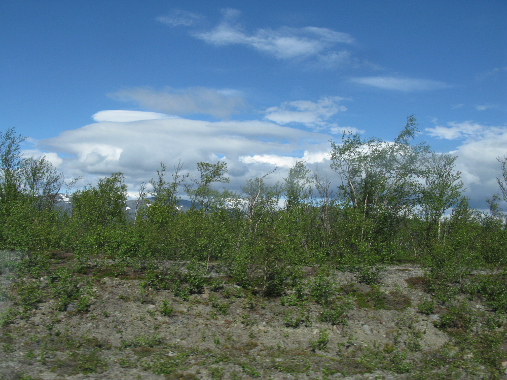 IMG_2563.JPG