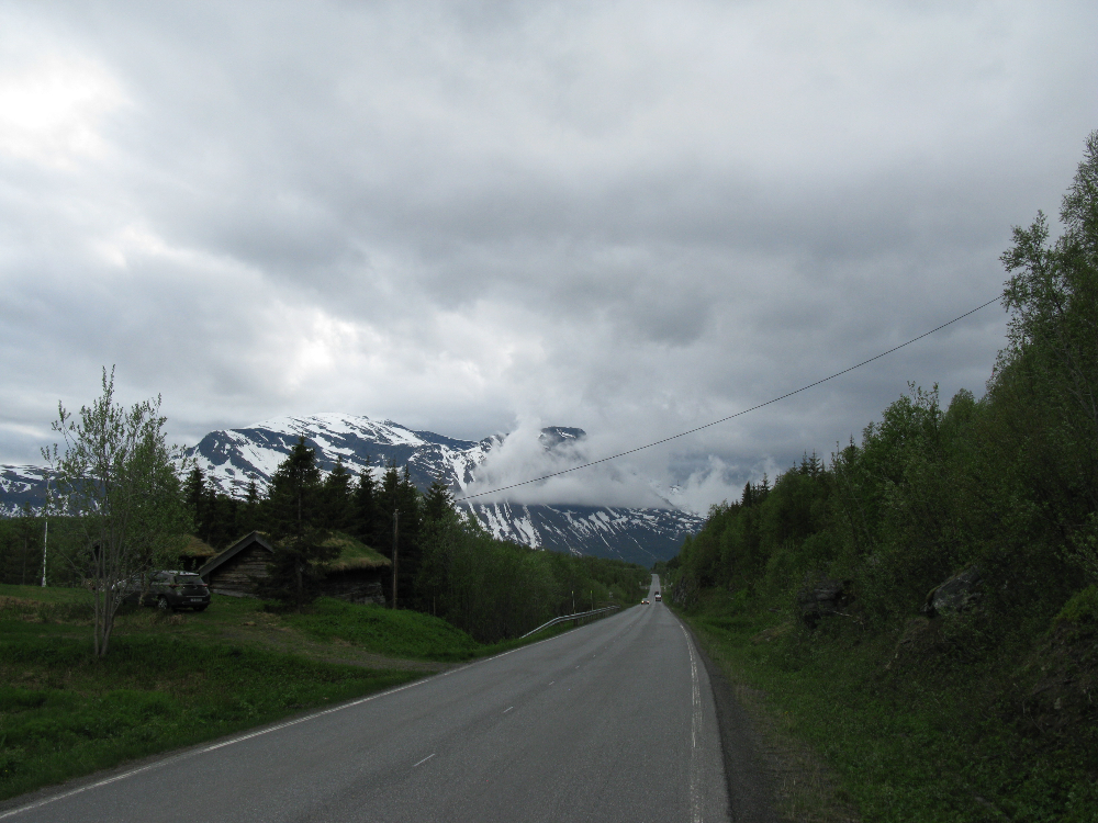 IMG_2614.JPG