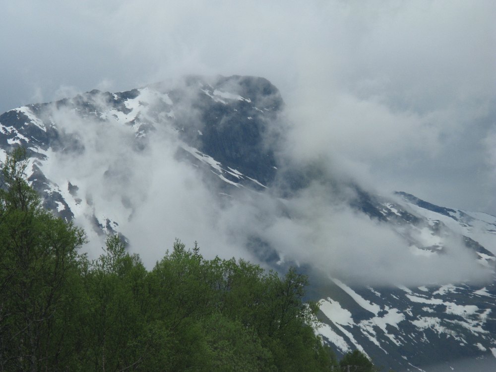 IMG_2617.JPG