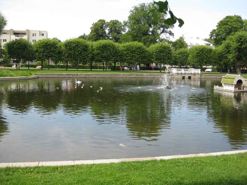 IMG_0256.jpg