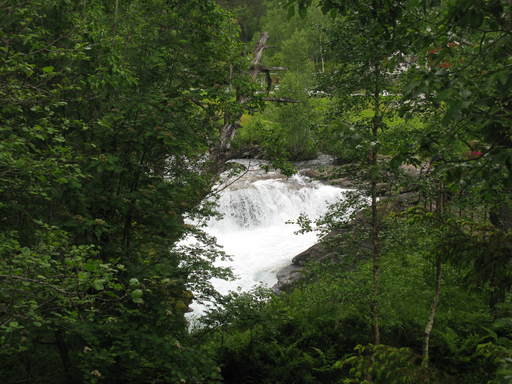 IMG_3050.JPG