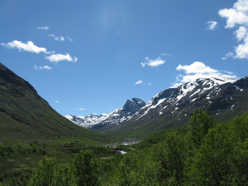 IMG_3290.JPG