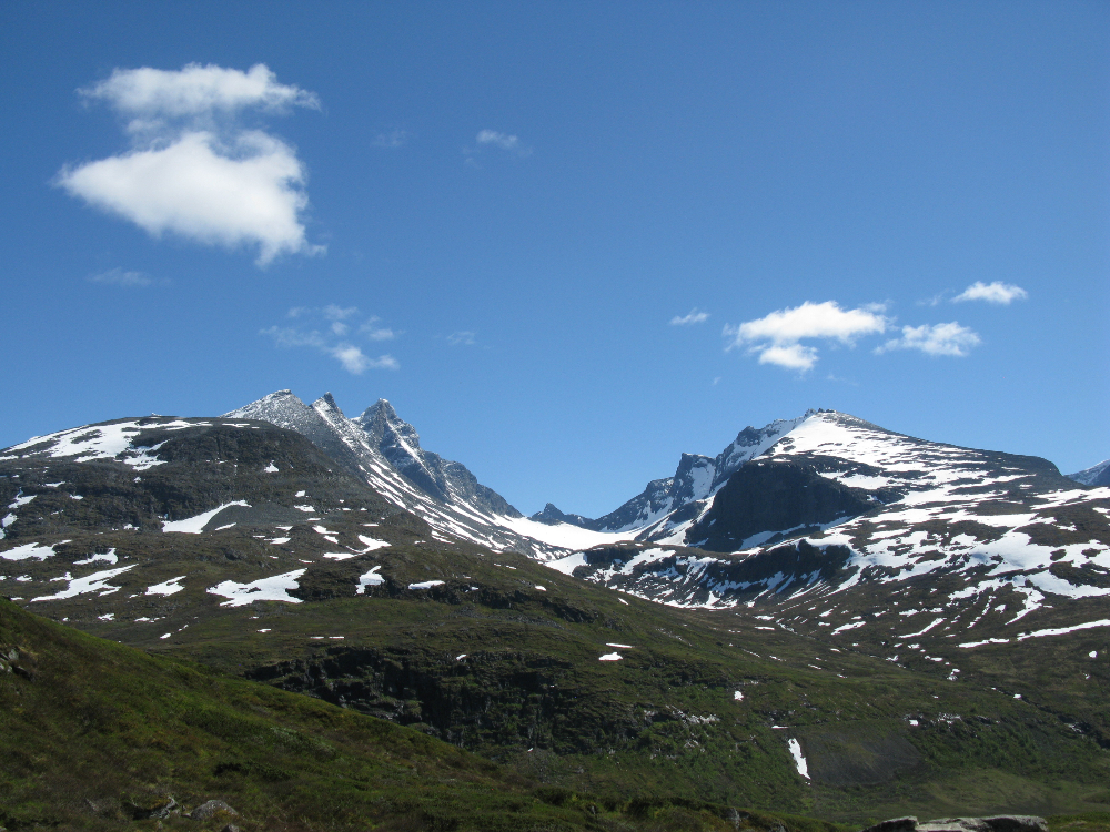 IMG_3306.JPG