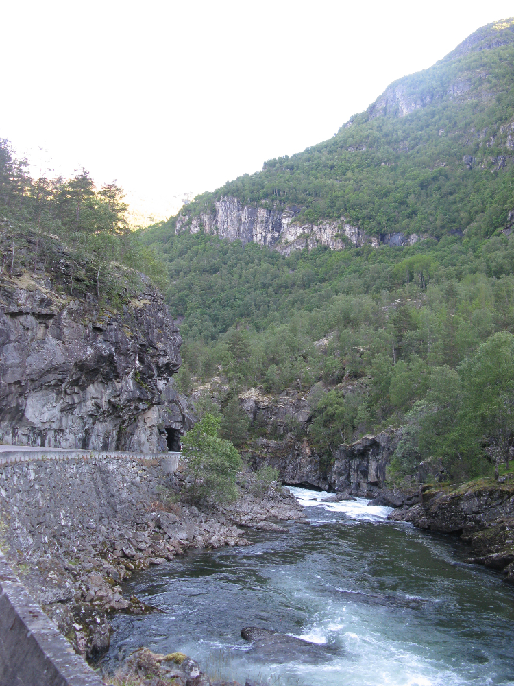 IMG_3325.JPG