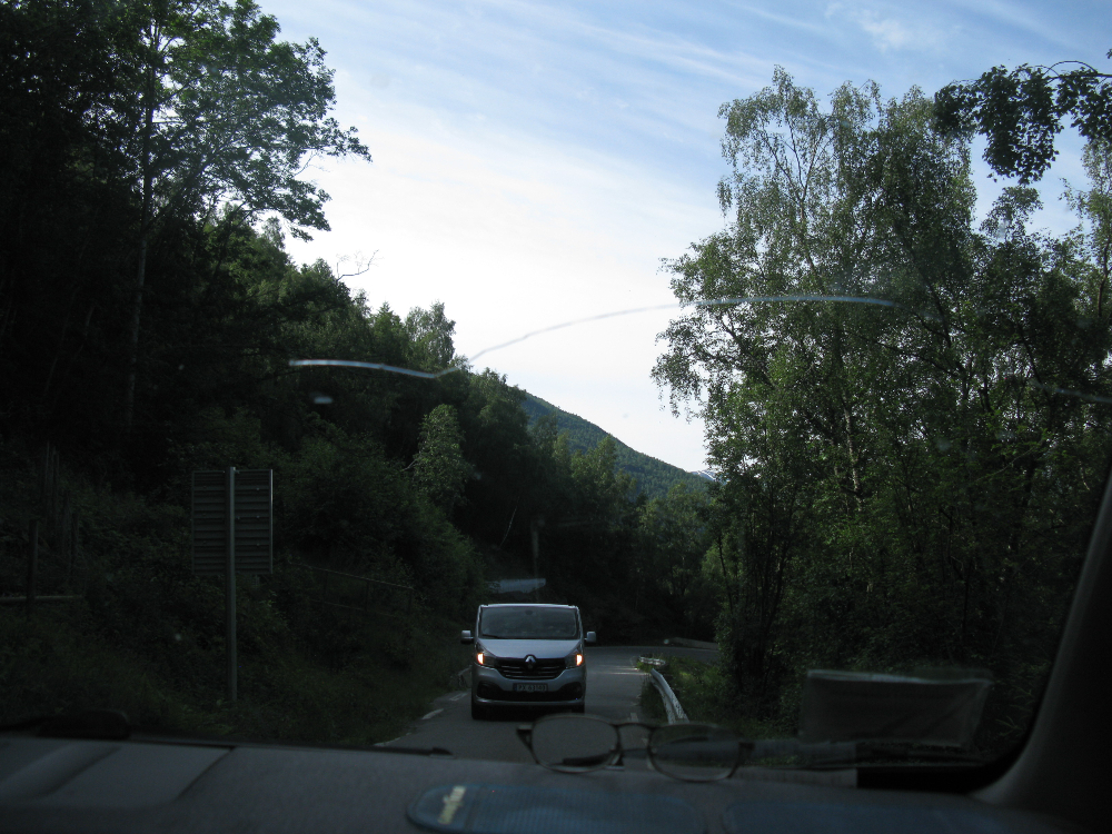IMG_3375.JPG