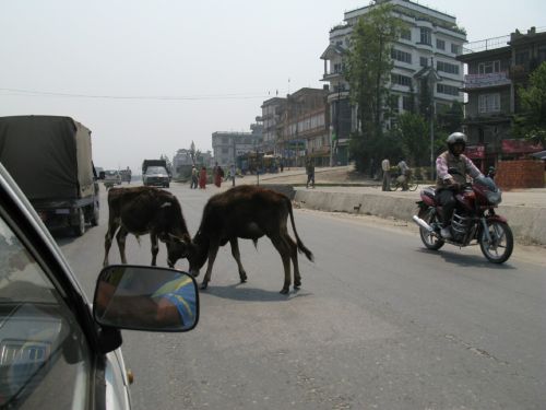 Nepal_00039.jpg