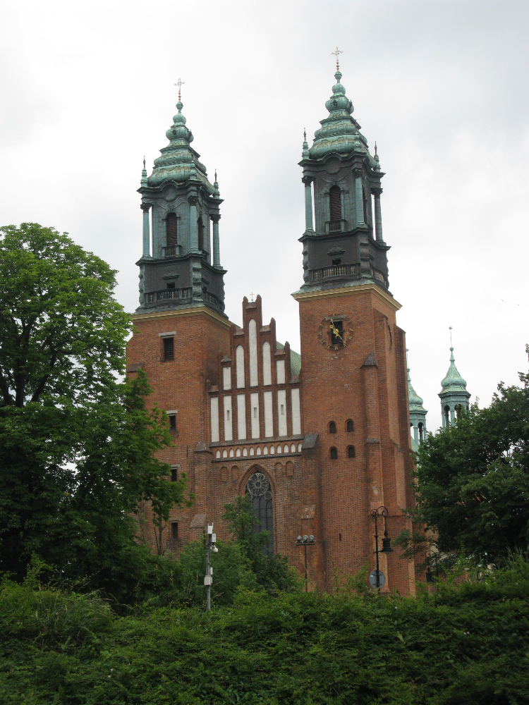 IMG_3515.JPG