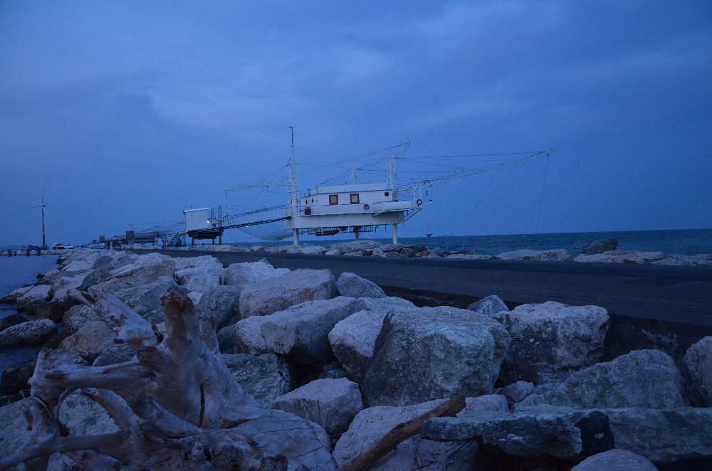 DSC_0013.JPG