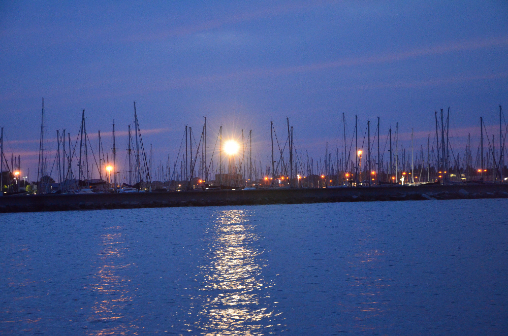 DSC_0038.JPG