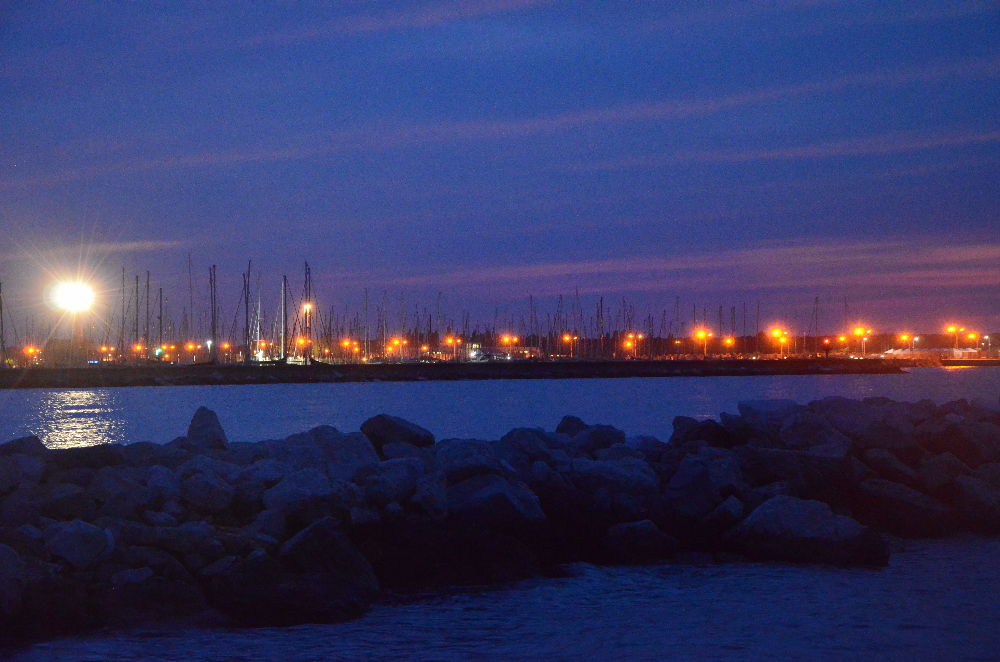 DSC_0065.JPG
