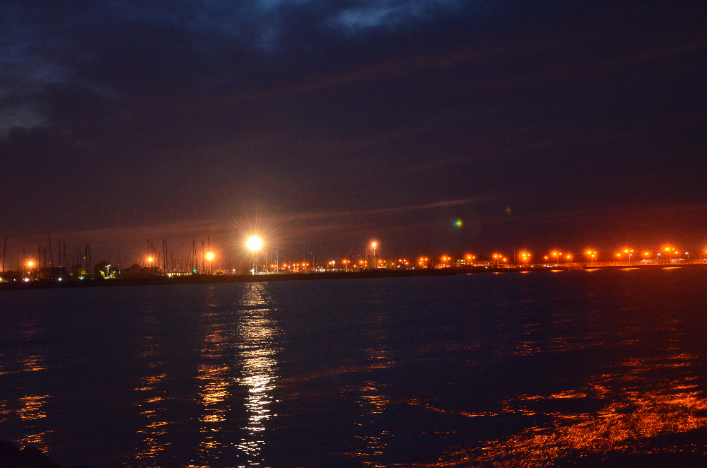 DSC_0085.JPG