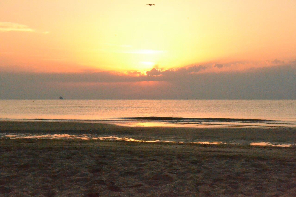 DSC_0280.jpg