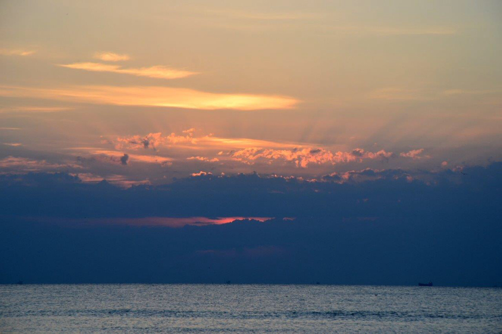 DSC_0274.jpg
