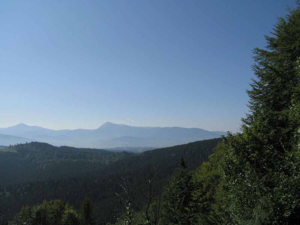 IMG_3621.JPG