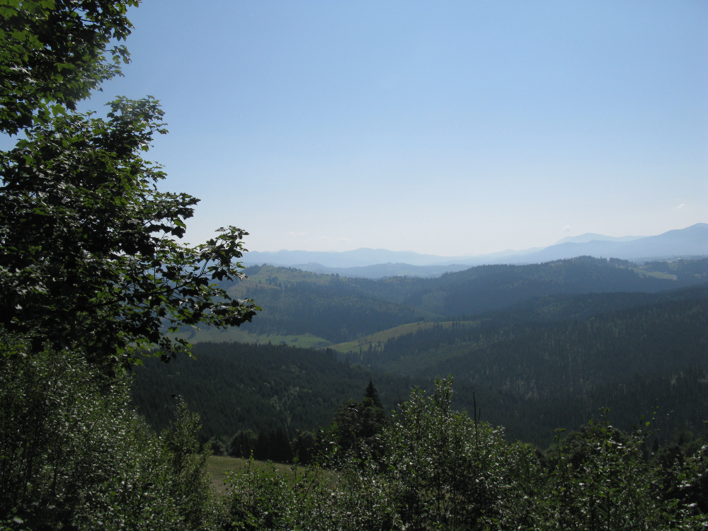 IMG_3622.JPG