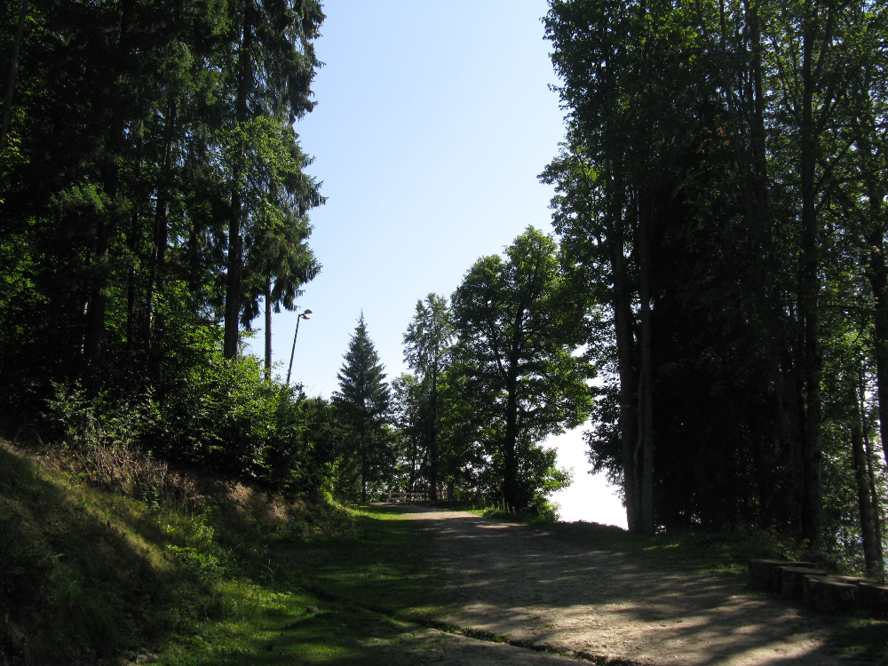 IMG_3625.JPG