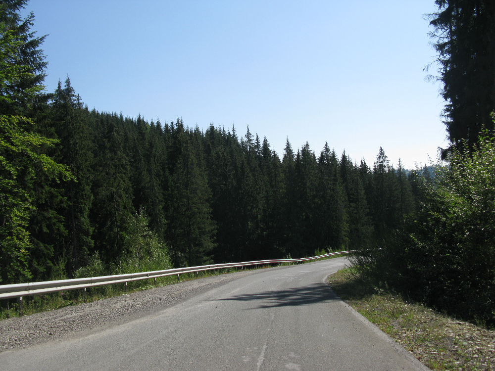 IMG_3647.JPG