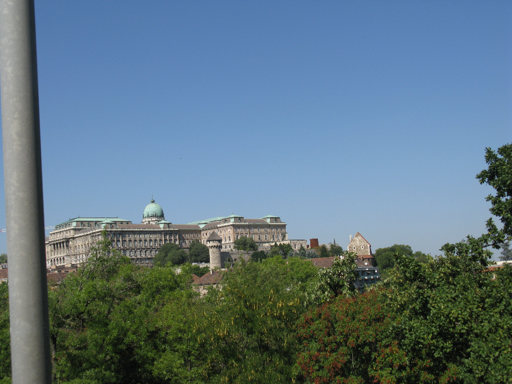 IMG_3660.JPG