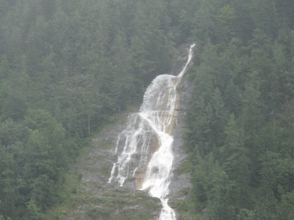 IMG_3739.JPG