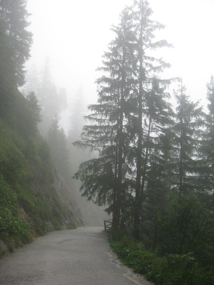 IMG_3767.JPG