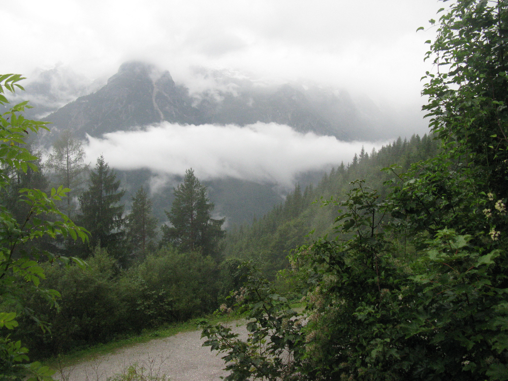 IMG_3783.JPG