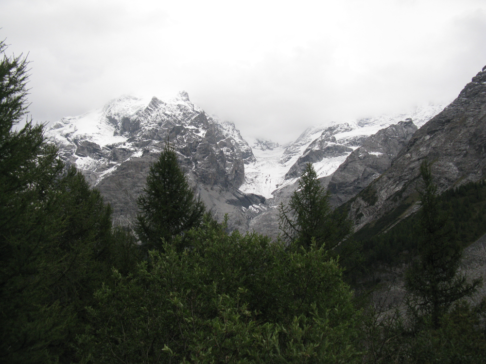 IMG_3931.JPG