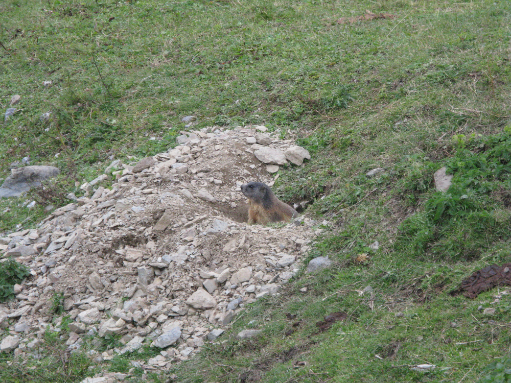 IMG_3944.JPG