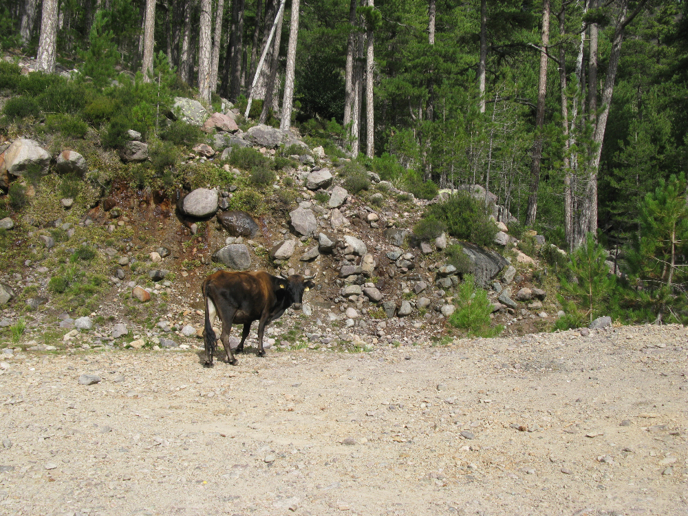 IMG_4106.JPG