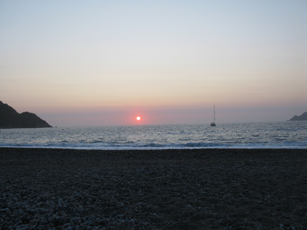IMG_4416.JPG