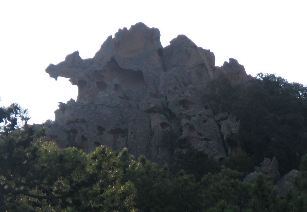 IMG_4429.JPG