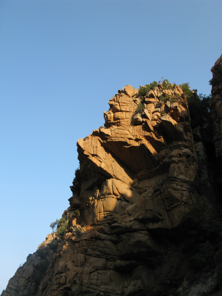 IMG_4434.JPG