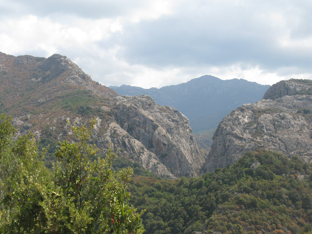 IMG_4450.JPG