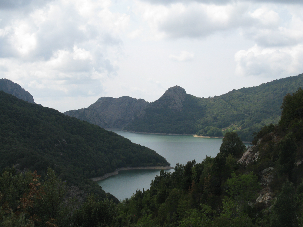 IMG_4462.JPG