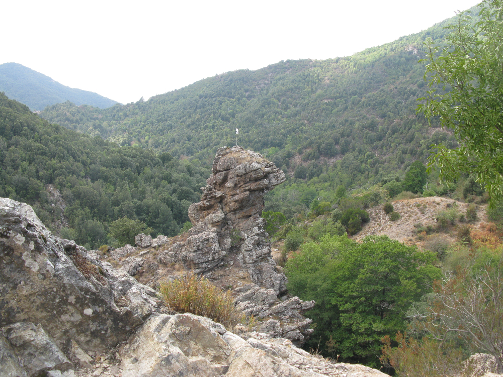 IMG_4465.JPG