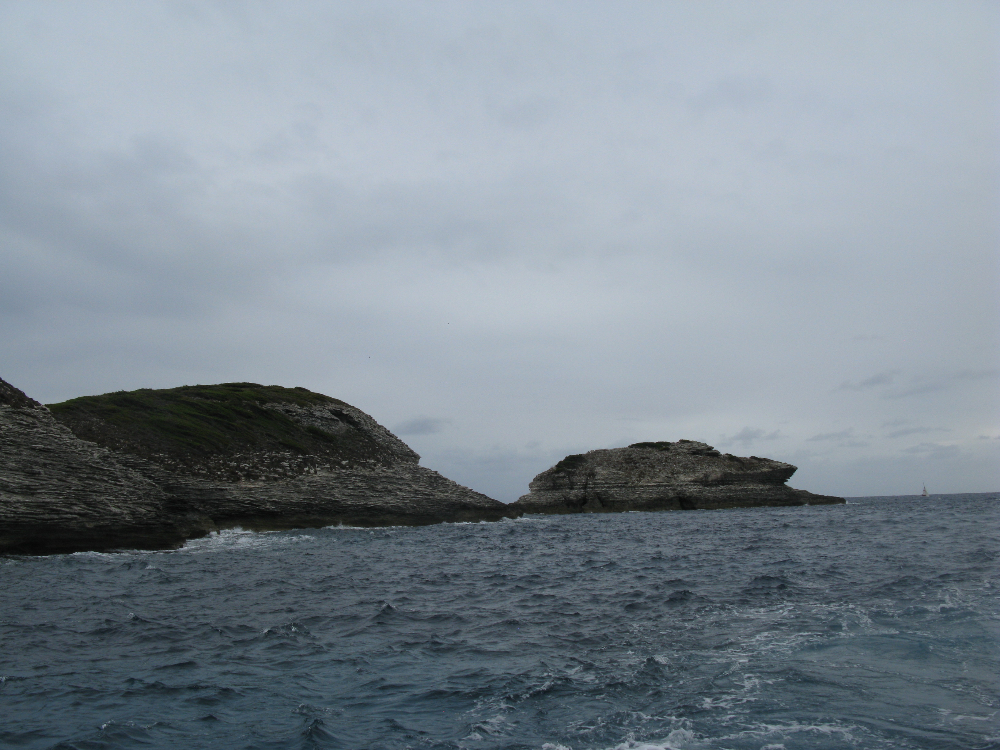 IMG_4569.JPG
