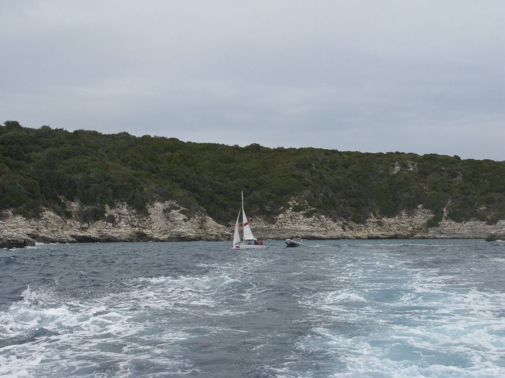 IMG_4574.JPG