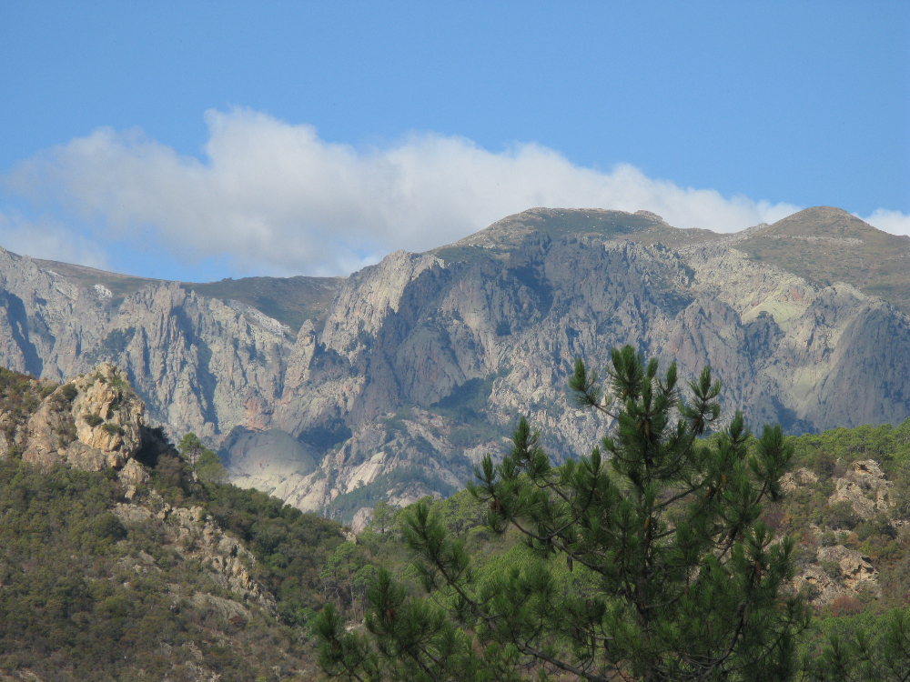 IMG_4635.JPG