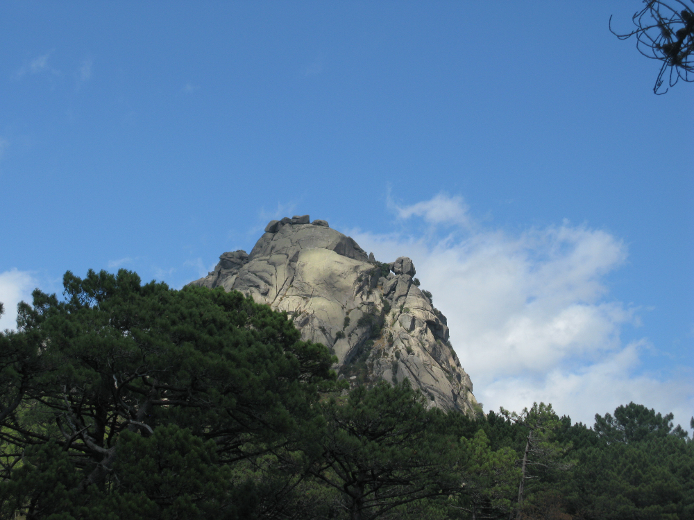 IMG_4639.JPG