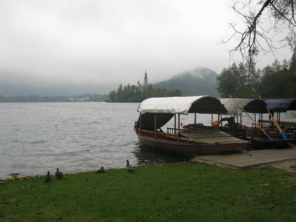 IMG_9899.JPG