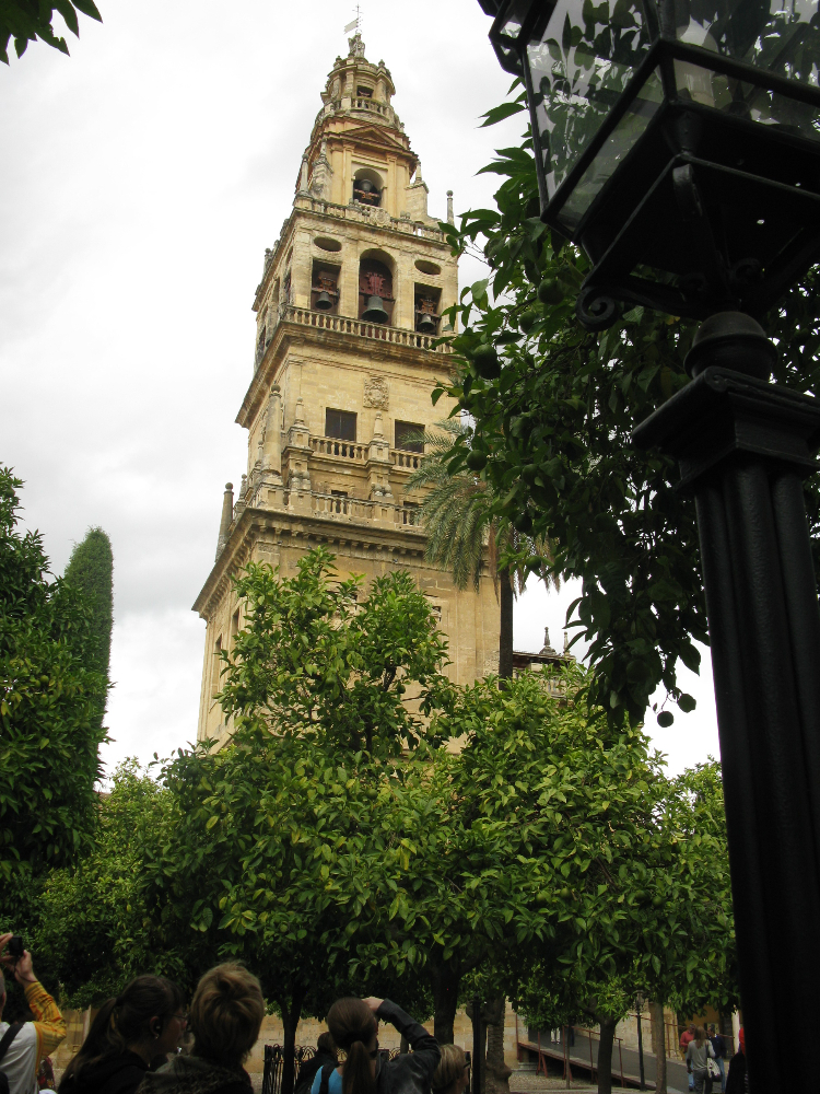 IMG_0331.JPG