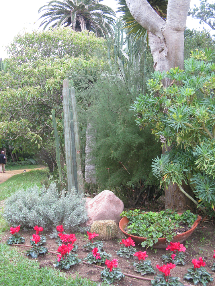 IMG_0689.JPG