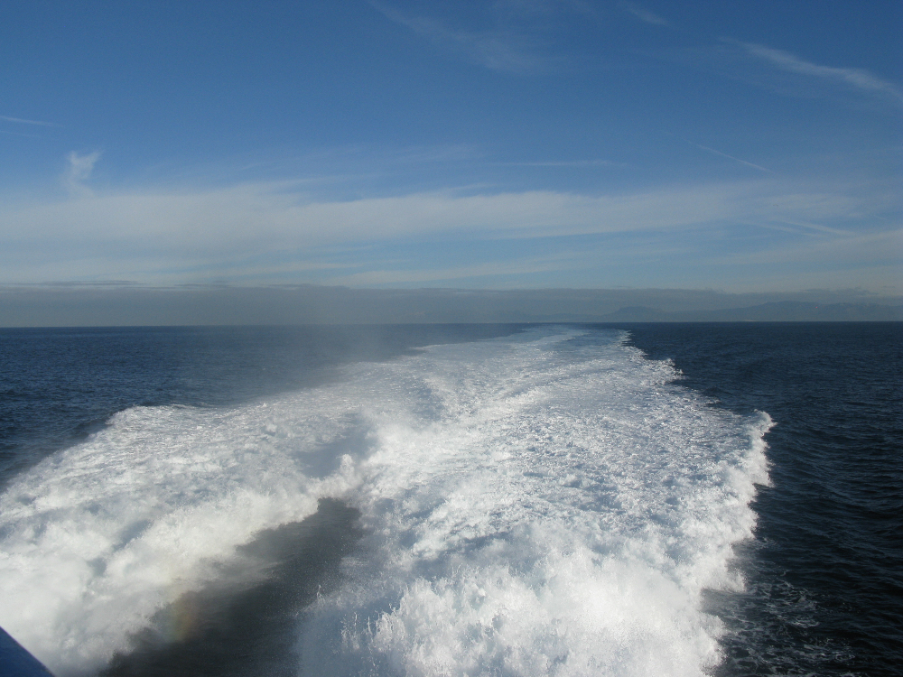 IMG_0913.JPG