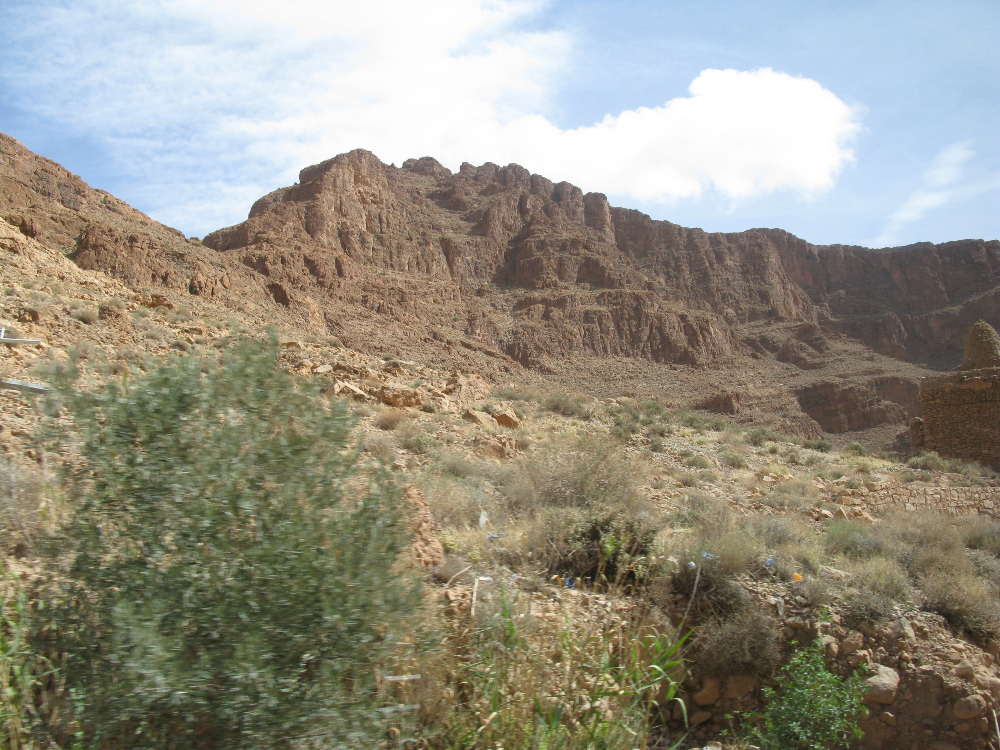IMG_1504.JPG
