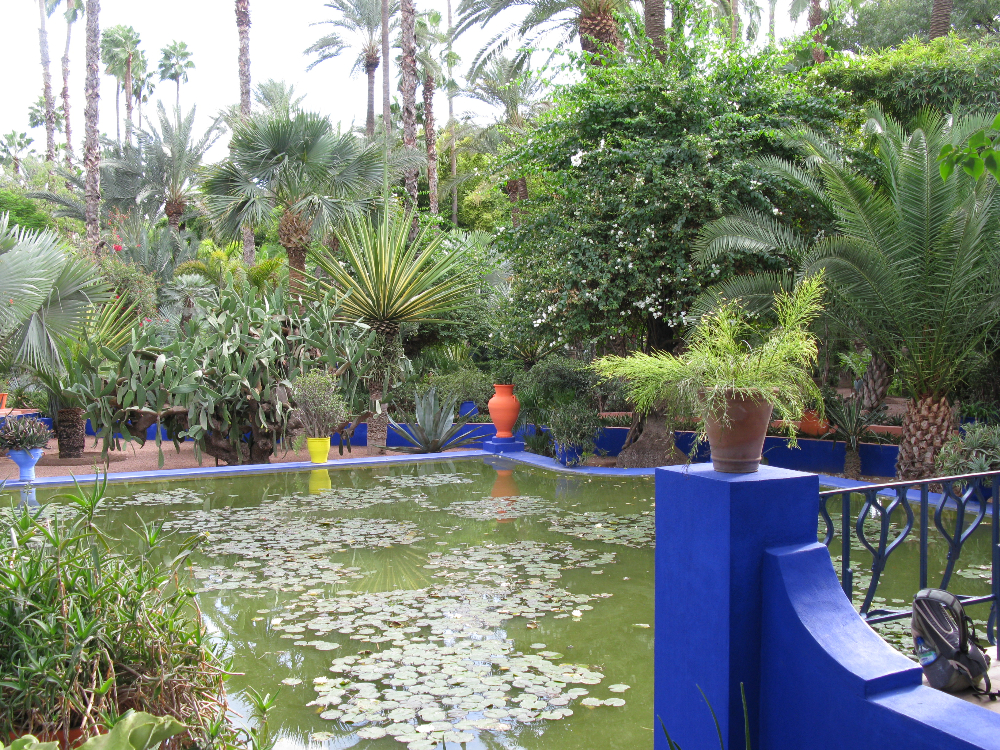 IMG_1681.JPG