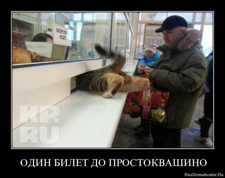 1360170153_52vcn7zjvqli.jpg