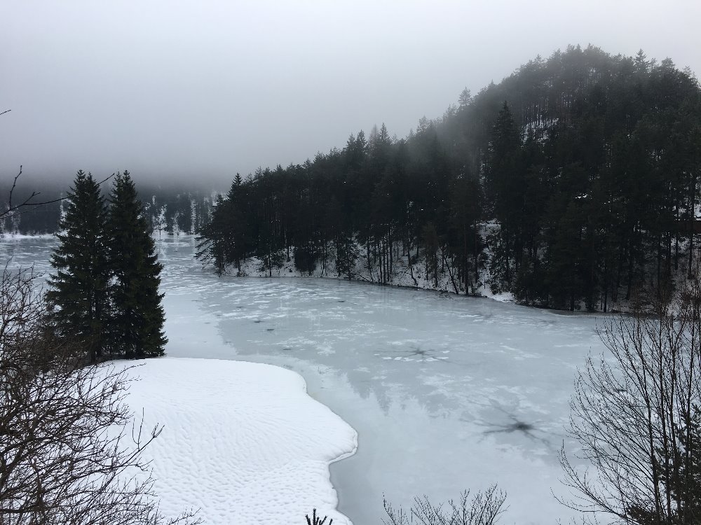 2018.01.09_10.40.07.JPG