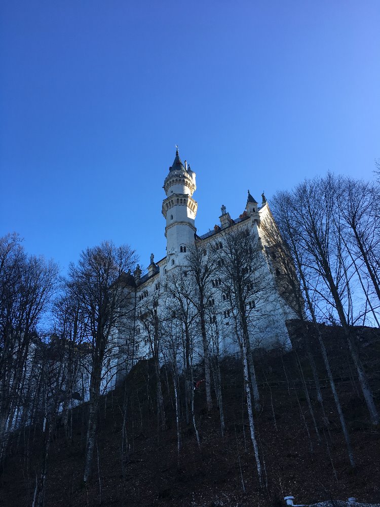 2018.01.09_12.33.59.JPG